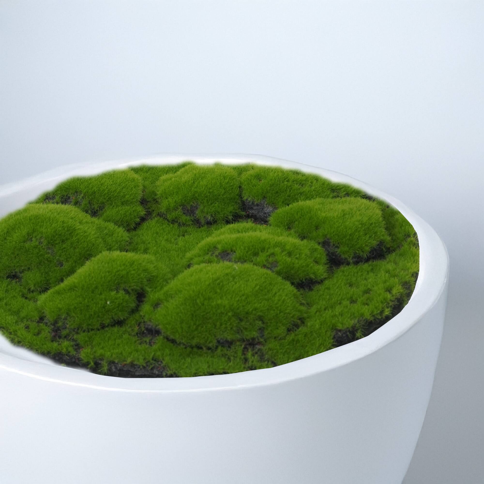 12" Faux Moss Bumpy Mat by Ashland®